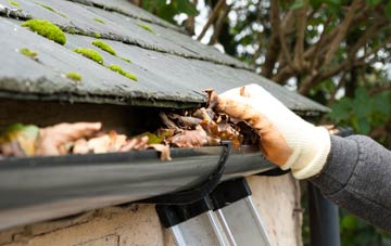 gutter cleaning Eastwood