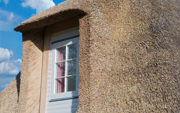 Eastwood thatch roof disadvantages