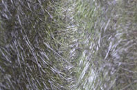 Eastwood fibreglass roof work